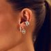 Women's Jewelry Pig Nose Earrings Light Luxury High End Design Exquisite Versatile Earrings Ear Clips Earrings_ipsvogv.com