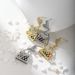 Designer's New Versatile Fashion Bag Boutique Internet Celebrity Swinging Street Silver Needle Earrings_ipsvogv.com