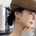 Personalized leopard print Kusa acrylic exaggerated earrings temperament circle earrings 2024 new trendy women European and American fashion_ipsvogv.com