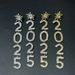 Rhinestone snowflake number 2025 women's pendant long earrings geometric tassel pendant earrings_ipsvogv.com