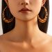 Exaggerated Spicy Girl Style Leopard Print With Geometric Metal Ring Earrings For Women_ipsvogv.com