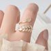 New Super Sparkling Zircon Leaf Ring, Female Personality, Atmosphere, and Adjustable Opening Ring_ipsvogv.com