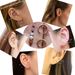 Women’s Jewelry Set Fashion Real Gold Brass Electroplating Fashionable Simple Versatile Pearl Ear Bone Stud Earring Combination Set_ipsvogv.com