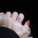 【 1667 People Praised 】 Love, High-end Feeling, Cross Zircon Female Ins, Niche Design, Index Finger Ring, Exquisite_ipsvogv.com