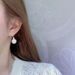 Cao Shi'sl earrings women's luxury and high sense ins earrings trendy autumn and winter versatile earrings_ipsvogv.com