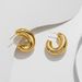 Internet celebrity fashion and fashion earrings Gold stainless steel exaggerated chubby earrings Women's earrings_ipsvogv.com