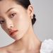 Women's Jewelry Temperament Super Flash Zircon Double Layer Semicircular Earrings Light Luxury Niche Design High End Fashion Simple Earrings_ipsvogv.com