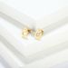 Women’s Jewelry Set Fashion Fashion Luxury High End Diamond Earrings For Women Niche Design Stainless Steel Gold Plated Earrings Ear Jewelry_ipsvogv.com
