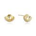 Unisex Simple Small Fresh Shell Earrings Electroplating Color Retention Sweet Romantic Female Earrings_ipsvogv.com