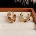 French Style Zircon Circle Hoop Niche Design Exquisite Light Luxury High-end Fashion Earrings For Women_ipsvogv.com