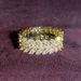 Cao Shifeng's Luxurious Willow Leaf Ring Exudes And Cool Vibe, With Dense Circle Of Inlaid Index Finger Rings That Exude_ipsvogv.com