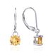 Simple Long Natural Topaz Earrings New Garnet S925 Sterling Silver Inlaid Colored Gemstone Earrings Fashion_ipsvogv.com