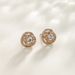 Full Dia Hollow Rose Zircon Simple Small Exquisite Summer High End Earrings For Women_ipsvogv.com