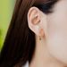 Women's Jewelry S925 Silver Plated With Gold Earrings Fashionable Green Zircon Earrings Niche Versatile Earrings_ipsvogv.com