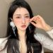 Unisex White Organza Flower Crystal Tassel Earrings New Style Trendy Long Niche Temperament Versatile Earrings For Women_ipsvogv.com