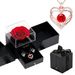 Women’s Jewelry Set Fashion double layer love rose gold pendant female colored zircon heart shaped necklace Valentine's Day Mother's Day gift_ipsvogv.com
