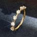 Cao Shi's New Light Luxury Full Set With Zircon Women's Plating Versatile Accessories Ring_ipsvogv.com