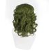 movie cosplay clown joker Fleck green medium length curly hair cos wig Halloween headgear_ipsvogv.com