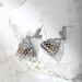 Designer's New Versatile Fashion Bag Boutique Internet Celebrity Swinging Street Silver Needle Earrings_ipsvogv.com