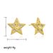 Women’s Jewelry Set Fashion Copper Plated Real Gold Sweet Style Mother's Day Five Pointed Star Micro Inlaid Zircon Earrings Light Luxury Earrings_ipsvogv.com