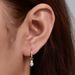 New S925 Sterling Silver Earrings, Small And Personalized Zircon Earrings, European And American Ins Style, Elegant Ladies' Silver Earrings_ipsvogv.com