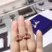 Beating Heart Crown Earrings For Women Elements Crystal Smart Earrings_ipsvogv.com