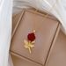 Rose 【 】 Light Luxury Charm Gorgeous Full Diamond Necklace Women's Versatile Clavicle Titanium Steel Chain 【 】_ipsvogv.com