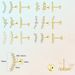 Hot Sale Exquisite And Gorgeous High End Zircon Branch Style Earrings Fashionable Ladies Earrings_ipsvogv.com