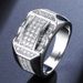 Zhenrong Handmade Jewelry Fashion Diamond Set Men's Ring_ipsvogv.com