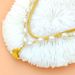 2023 New Instagram Cool Wind Double Layered Layered Pearl Necklace For Female Hip Hop, Unique Design, Butterfly Collar_ipsvogv.com