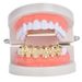 Unisex New Glossy Skull Gold Braces HIPHOP Hip Hop Braces Halloween Costume Accessories_ipsvogv.com