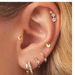 Women’s Jewelry Set Fashion Real Gold Brass Electroplating Fashionable And Elegant Earrings High End Ladies All Match Earrings Set_ipsvogv.com