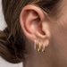 Unisex Real Gold Brass Electroplating Fashion Classic Simple Inlaid Zircon U Shaped Earrings For Women_ipsvogv.com