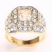 trendy Hip-hop Zircon New Men's Gold-plated Ring_ipsvogv.com