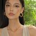 Women's Jewelry Retro Pig Nose Zircon Earrings Light Luxury High End Design Fashion Temperament Circle Earrings Ear Jewelry_ipsvogv.com