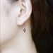 Surgical Steel Carnation Earrings, Punk Style, Hip-hop Style_ipsvogv.com