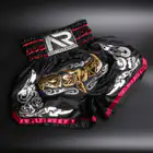 Sports Shorts_ipsvogv