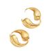 Fresh And Sweet Niche Design Geometric Metal Earrings Tai Chi Element Plain Hoop Earrings Light Luxury High End Earrings_ipsvogv.com