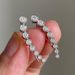 Cao Shi's Niche, Minimalist, Regular, High-end With Sparkling Temperament, Round Diamond Arrangement, Ear Hook Earrings_ipsvogv.com