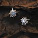 Eight Pointed Star Men's Trendy Blue, High-end, Simple And Versatile Earrings, Women's Hip-hop Personalized,_ipsvogv.com