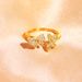 Boutique Zircon Double Butterfly Opening Ring Adjustable Diamond-encrusted Couple Ring Hip-hop Ring_ipsvogv.com