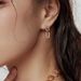Women's Jewelry Exquisite Mother Of Pearl U Shaped Earrings Light Luxury Design High End French Earrings Simple Earrings_ipsvogv.com