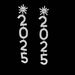 Rhinestone snowflake number 2025 women's pendant long earrings geometric tassel pendant earrings_ipsvogv.com