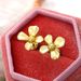 Cao Shi Flower Metal 2024 New Small and Popular Design Light Luxury Earrings_ipsvogv.com