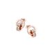Women's Accessories Dia Set Simple Temperament Design Sense Trend Earrings_ipsvogv.com