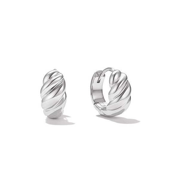 Women's Jewelry Plain Hoop Earrings Light Luxury High End Design Sense Fashionable All Match Hoop Earrings Earrings_ipsvogv.com