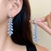 New Zircon Wheat Tassel Earrings Necklace Set, Fashionable, Light Luxury, Collarbone Chain, High-end, Fashionable And_ipsvogv.com