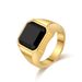 Men's Jewelry Light Luxury Style Gem Stainless Steel Ring Artificial Gem Titanium Steel Hand Jewelry King Feel_ipsvogv.com