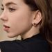 Women's Jewelry Snake Pattern Lucky Earrings Light Luxury High End Design Fashion Temperament Red Earrings French Retro Earrings_ipsvogv.com
