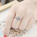 Jin Jiahua Round Moissanite Internet Celebrity Live Luxury Cluster Zircon Wedding Ring_ipsvogv.com